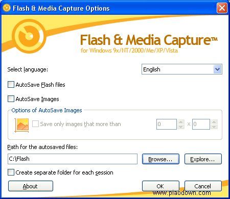 MetaProducts Flash and Media Capture 