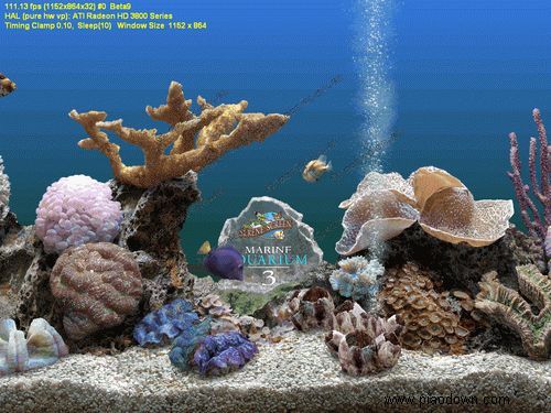 ȴˮ Marine Aquarium