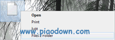 Files 2 Folder(ҼչԶļ)