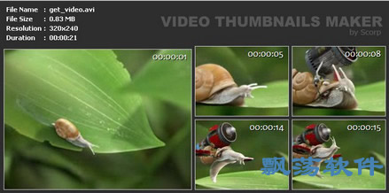 Ƶͼ Video Thumbnails Maker Platinum