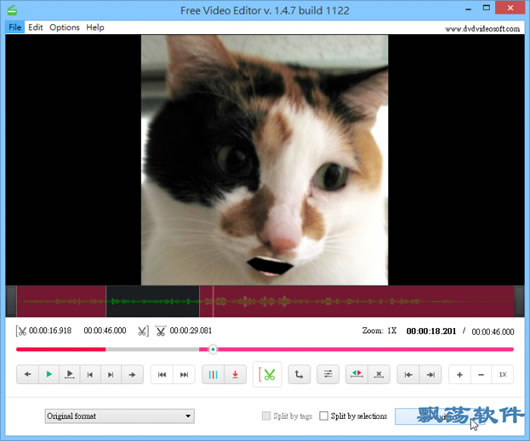 Ƶ(DVDVideoSoft Free Video Editor)