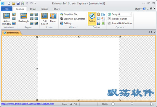 EximiousSoft Screen Capture(Ļץȡ)
